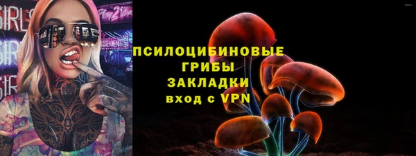 прущая мука Алзамай