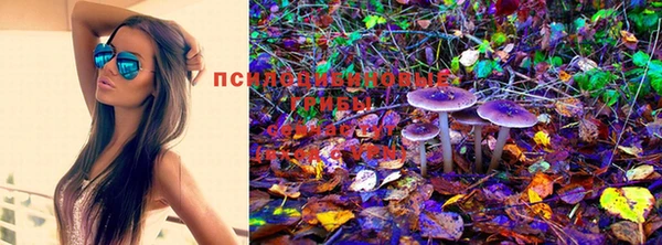 кокс Алексин