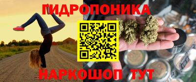 трава Усть-Джегута