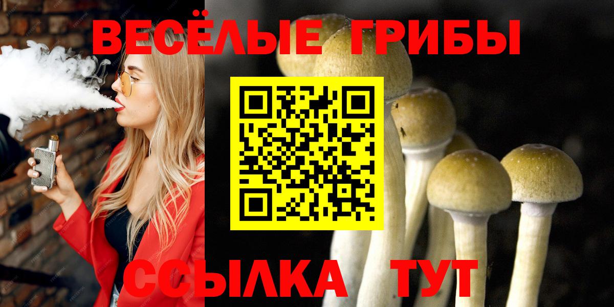 Галлюциногенные грибы ЛСД Новошахтинск